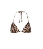 Dolce & Gabbana Leopard-printed Bikini Top