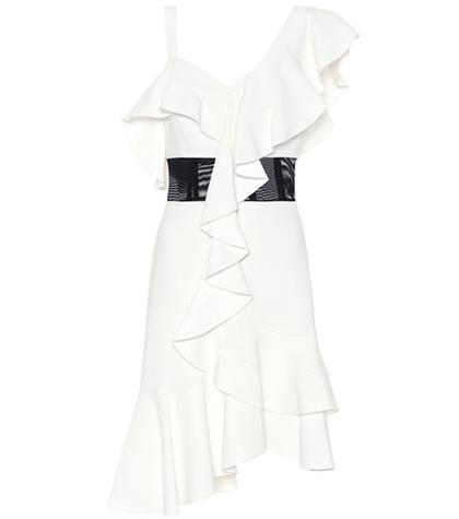 Proenza Schouler Asymmetric Ruffle Dress