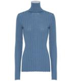 Petar Petrov Karen Turtleneck Wool Sweater