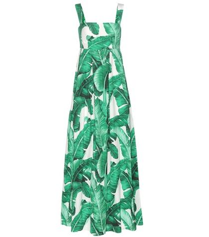 Frame Printed Cotton Maxi Dress