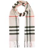 Dolce & Gabbana Printed Cashmere Scarf