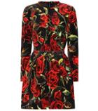 Dolce & Gabbana Floral-printed Velvet Minidress