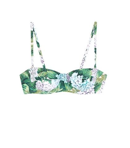 Dolce & Gabbana Floral-printed Bikini Top