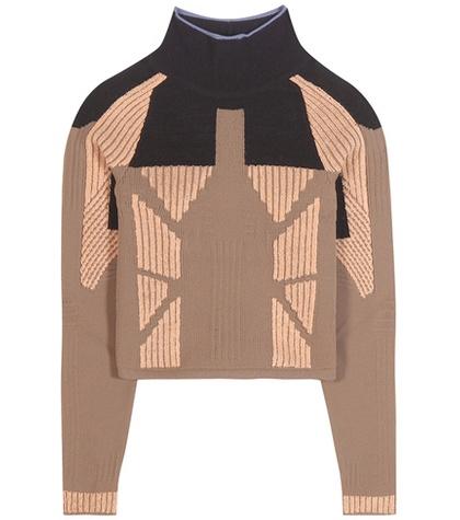 Yeezy Cropped Top (season 3)