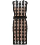 Shrimps Marcelle Tulle Dress With Appliqué And Faux Fur