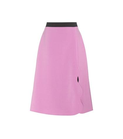Roksanda Marten Skirt