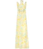 Cult Gaia Sabine Floral Linen Maxi Dress