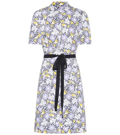 Carolina Herrera Printed Cotton Shirt Dress