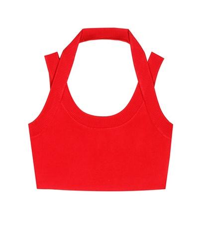 T By Alexander Wang Crop Top