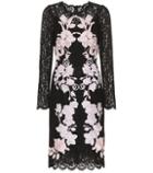 Alexander Mcqueen Embroidered Lace Dress
