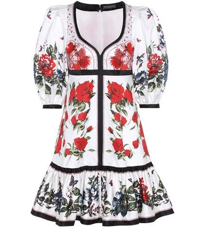 Alexander Mcqueen Floral-printed Cotton Dress