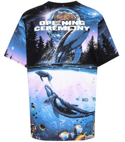 Staud Printed Cotton T-shirt