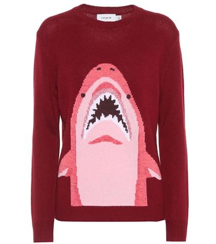 Coach Sharky Wool And Cashmere Sweater