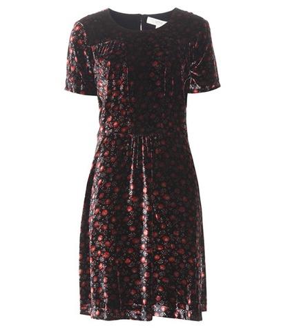 Vanessa Bruno Ath Daria Floral-printed Velvet Dress