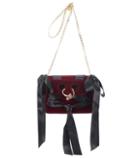 Alexachung Pierce Mini Velvet Shoulder Bag