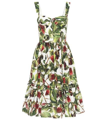 Dolce & Gabbana Fig Cotton Poplin Dress