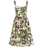 Dolce & Gabbana Fig Cotton Poplin Dress