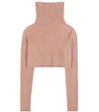 Valentino Knitted Wool And Cashmere Cropped Turtleneck Top