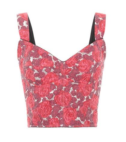 Roger Vivier Printed Crop Top