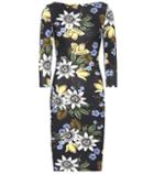 Erdem Reese Floral-printed Dress