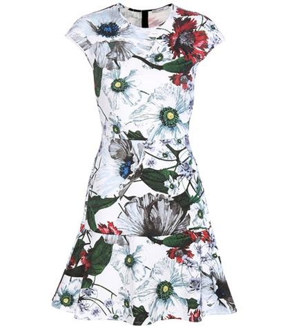 Erdem Darlina Mini Dress