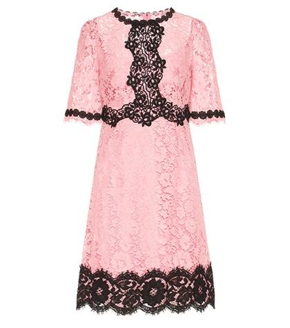 Dolce & Gabbana Lace Cotton-blend Dress