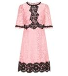 Dolce & Gabbana Lace Cotton-blend Dress