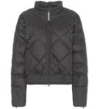 Adidas By Stella Mccartney Essentials Padded Jacket