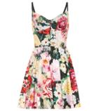 Dolce & Gabbana Floral Stretch Cotton Minidress