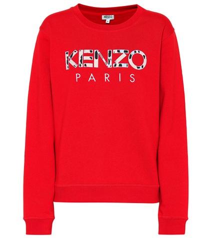 Polo Ralph Lauren Printed Cotton Sweatshirt