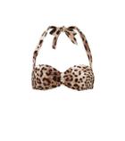Dolce & Gabbana Leopard-print Bikini Top