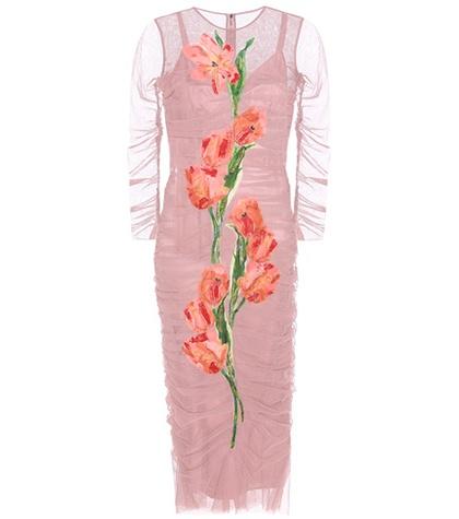 Dolce & Gabbana Tulle Dress With Appliqué