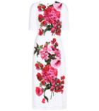 7 For All Mankind Printed Dress