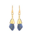 Dodo Bar Or Stone Drop Earrings