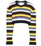 Marni Cotton And Virgin Wool Cropped Sweater