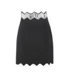 David Koma Plexi Crystal-embellished Skirt