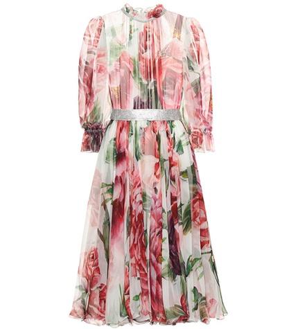 Dolce & Gabbana Silk-blend Chiffon Dress