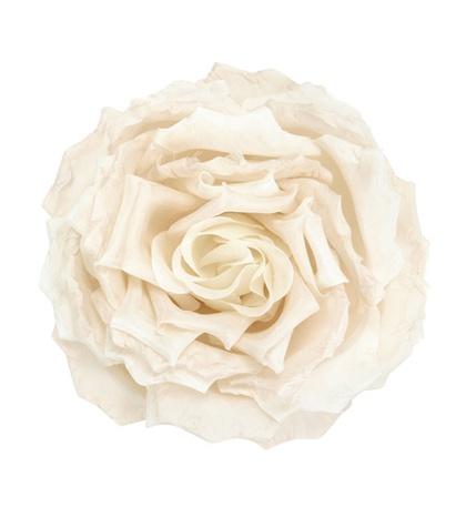 Gucci Floral Brooch