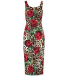 Dolce & Gabbana Leopard And Floral-printed Dress