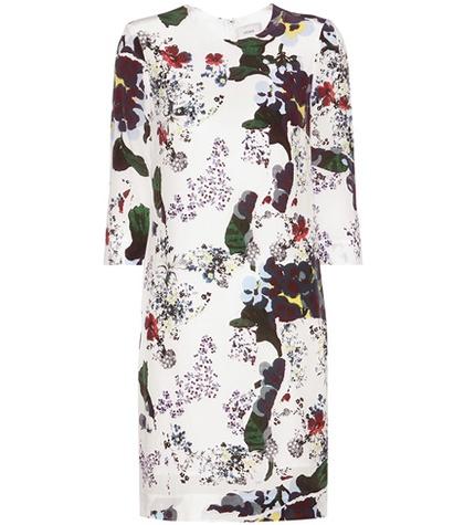 Erdem Emma Printed Silk Dress