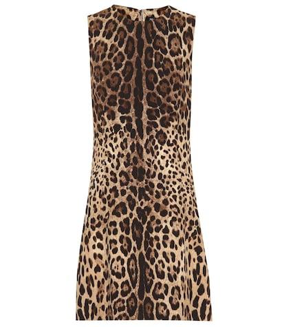 Dolce & Gabbana Leopard-print Minidress