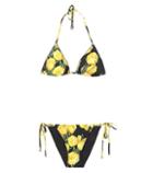 Diane Von Furstenberg Printed Triangle Bikini