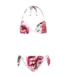 Dolce & Gabbana Floral Halterneck Bikini