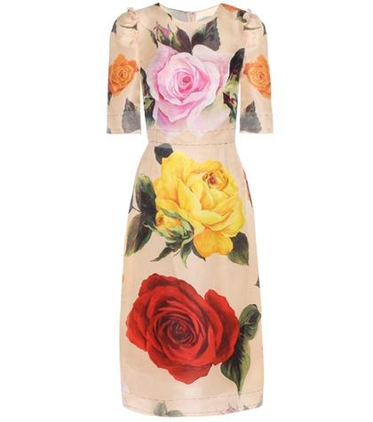 Dolce & Gabbana Printed Stretch-silk Midi Dress