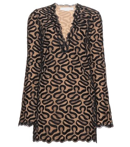 Stella Mccartney Lace Dress