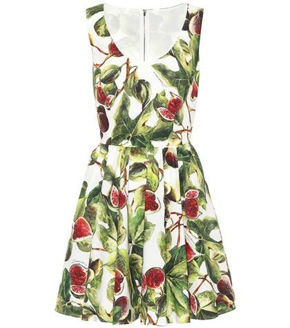 Dolce & Gabbana Fig Cotton Poplin Minidress