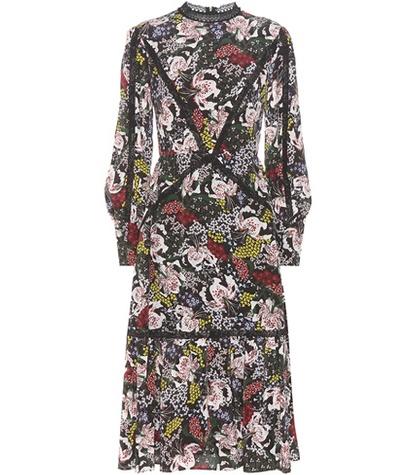 Erdem Oriana Printed Silk Dress