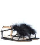 Charlotte Olympia Fifi Feather-trimmed Leather Sandals