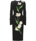Dolce & Gabbana Furek Wool-blend Dress With Appliqué