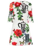 Roger Vivier Floral Cotton-blend Dress